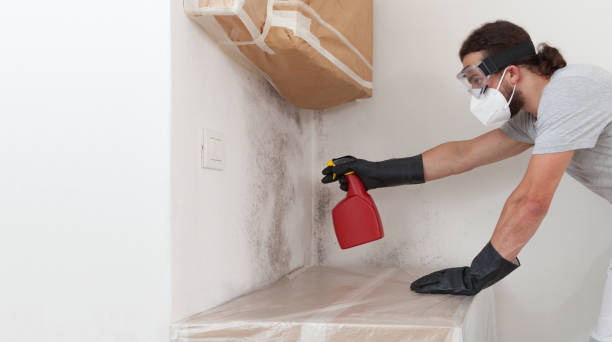 Professional Mold Remediation technician working in Wellsville, PA