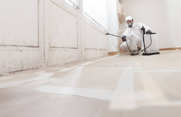 24/7 Emergency Mold Remediation experts in Wellsville, PA
