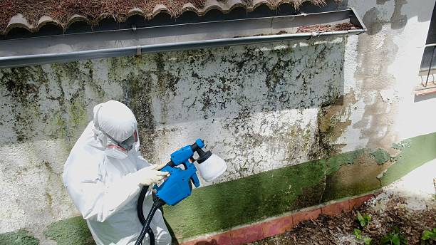 Top rated local Mold Remediation specialists in Wellsville, PA